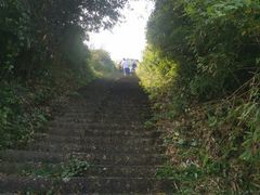 -武陵山森林公园