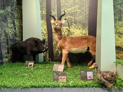 -房山世界地质公园博物馆