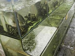 -红月湾海鲜饭店•沙滩海景(双月湾店)