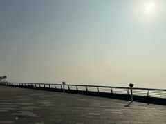 -野狸岛