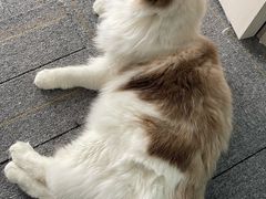 -零纪元VR体验馆·桌游(黄浦店)