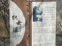 -洛阳白云山景区