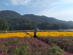 -广州市石门国家森林公园