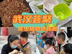 -武汉荟聚