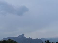 -万达广场(泰安泰山店)