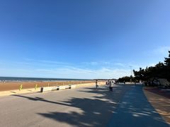 -日照海滨国家森林公园