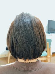 -蚂蚁造型俱乐部
