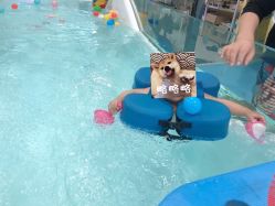 -香港3861婴幼儿游泳馆(东海商务中心店)