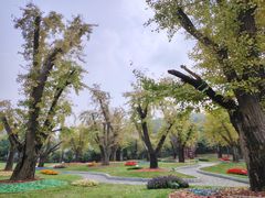 -南京银杏湖乐园