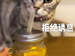 -平行世界·猫咖(首经贸店)