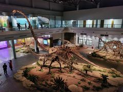 -自贡恐龙博物馆