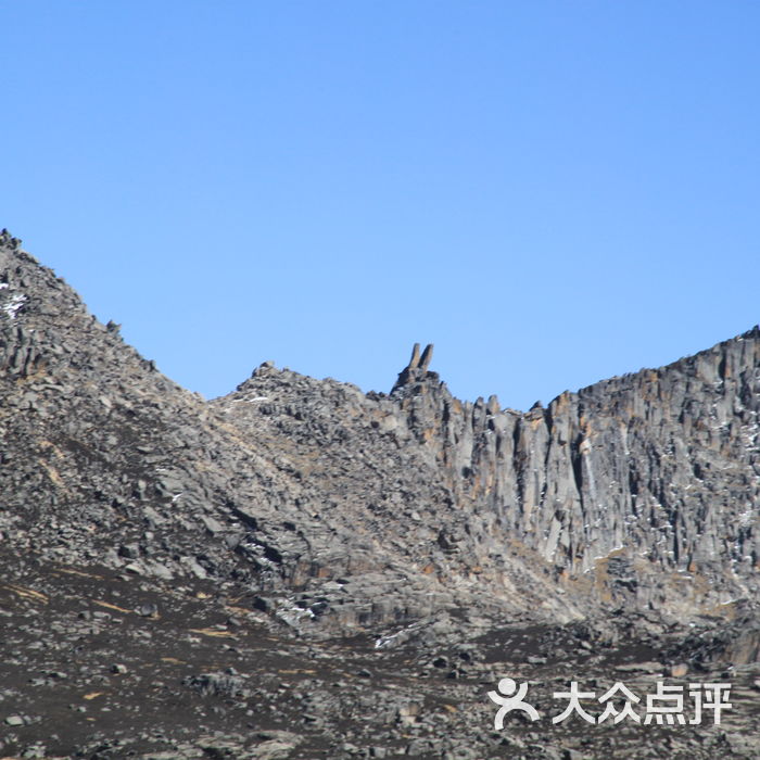 兔子山