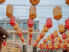 -洋湖国家湿地公园