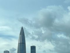 -深圳湾公园(南山区)