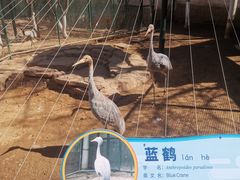 -大连森林动物园