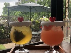 -柴犬高等学院·狗咖·柴犬售卖·宠物训练