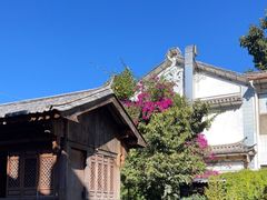 -大青树咖啡(大理古城店)