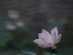 -成都市文殊院