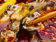 -鸿顺老铁锅美蛙鱼府(解放碑店)
