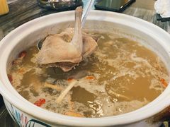 五指毛桃药膳鸽-鸽鸟轩(石岐店)