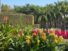 -深圳国际园林花卉博览园