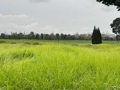 -汉长安城未央宫国家考古遗址公园