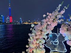 -InParty·游艇求婚策划生日派对布置(世纪大道店)