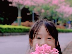 -风云岭森林公园