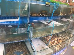 水产区-蟹谢蒸鲜自助餐厅