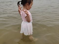 -碧海金沙