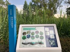 -昆山城市生态森林公园