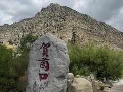 -国强手抓(西夏区店)