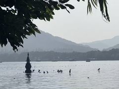 -西湖游船