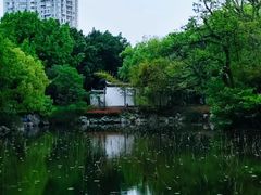 -西湖公园(鼓楼区)