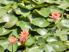 -状元人家·公园别墅衡东土菜(溪悦荟店)
