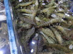 -聚盛源蒸汽海鲜火锅烤肉自助(巨川金海岸购物广场店)