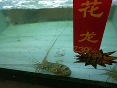 -海龙渔村(万江分店)