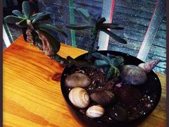 iphone_upload_pic-彼芝奇比萨(红坊店)