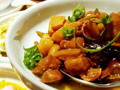 红烧肉-辛香汇(CBD)