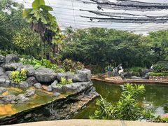 -吉隆坡雀鸟公园