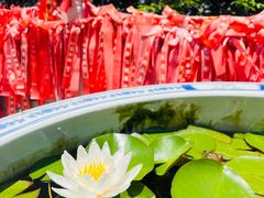 -终南山南五台景区