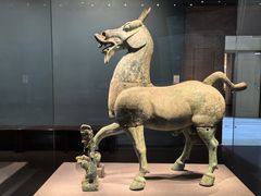 -广西壮族自治区博物馆