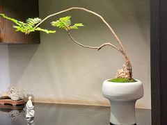 -双季花艺园艺市场(浦东店)