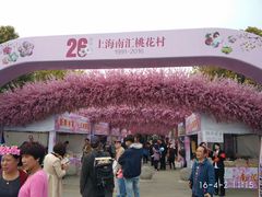 -南汇桃花村