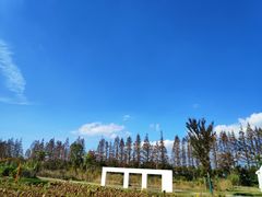 -前小桔亲子创意农场·草莓采摘·露营烧烤