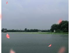 -大兴滨河森林公园