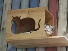 -小时光咖啡馆(开森度假森林店)