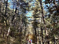 -帽儿山国家森林公园