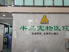 -半岛宠物医院24小时(科华中路店)