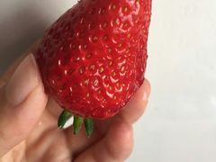-回头客精品果业(西门店)